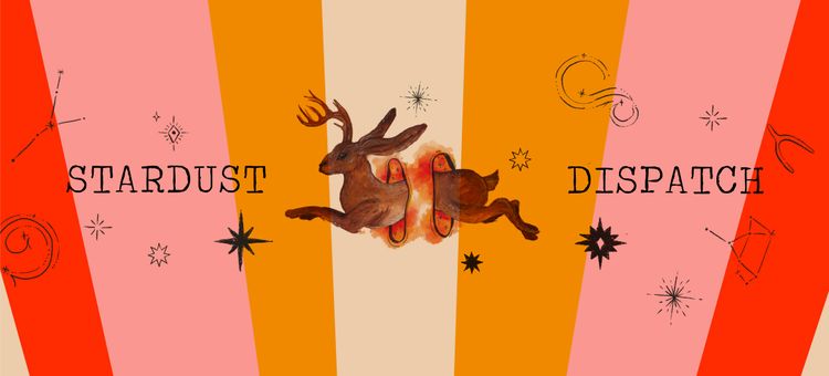 Stardust Dispatch #1: On the heels of cold winds comes a newsletter